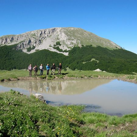 B&B Sole Del Pollino ロトンダ エクステリア 写真