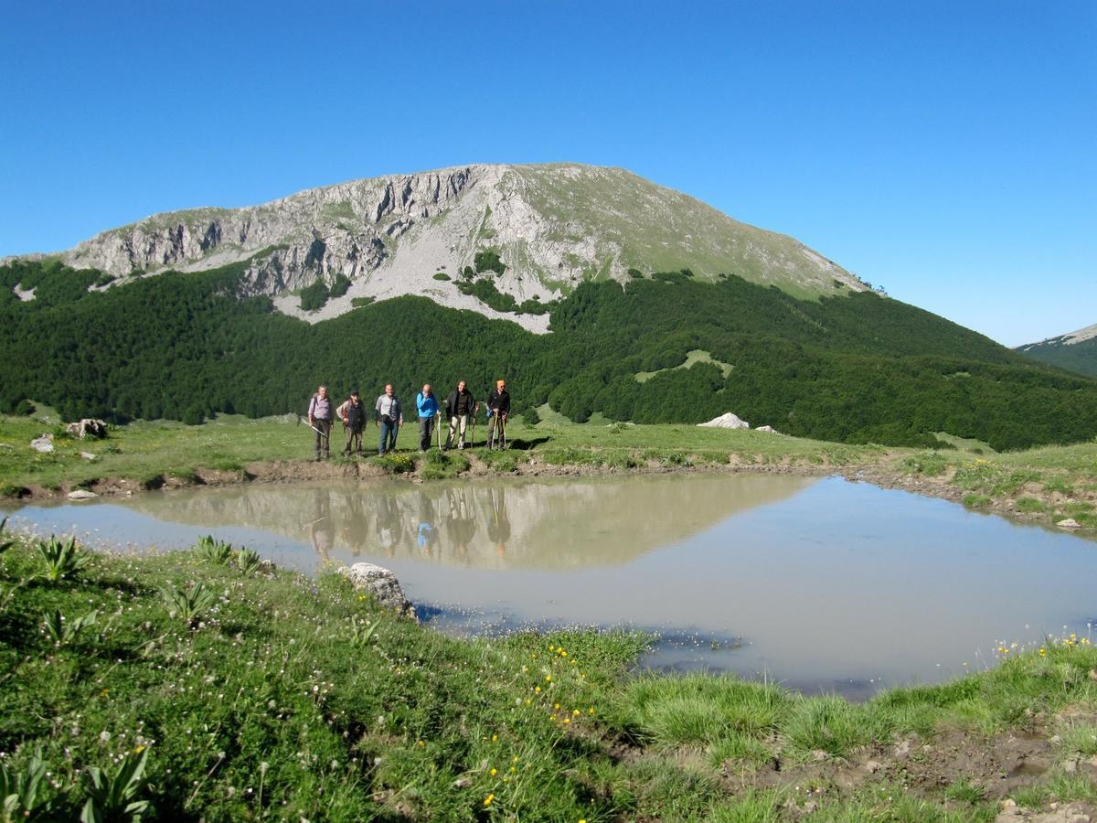 B&B Sole Del Pollino ロトンダ エクステリア 写真